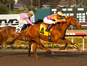 Killer Graces wins the 2011 Hollywood Starlet.