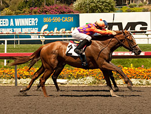 Killer Graces wins the 2011 Landaluce.