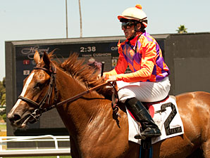 Killer Graces wins the 2011 Landaluce.