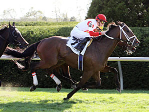 Kindergarden Kid wins the 2012 Sycamore.
