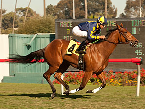 Kindle wins the 2012 Cool Air Stakes.