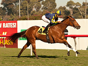 Kindle wins the 2012 Cool Air Stakes.