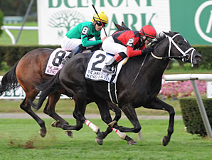 King David wins the 2012 Jamaica.