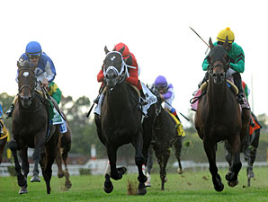 King David wins the 2012 Jamaica.