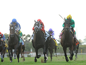 King David wins the 2012 Jamaica.