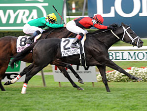 King David wins the 2012 Jamaica.