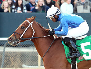 King Henny wins the 2013 Gazebo Stakes.