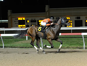 King Henry wins the 2013 Penn Dash Stakes.