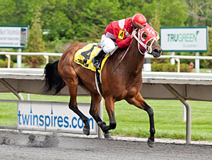 Kip Berries wins the 2013 Isaac Murphy Handicap.