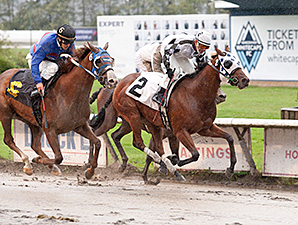 Kiri's Gal wins the 2013 CTHS Sales Stakes.