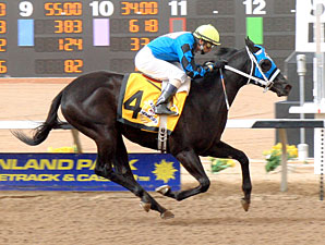 Kiss My Hennessy wins the 2012 Copper Top Futurity.