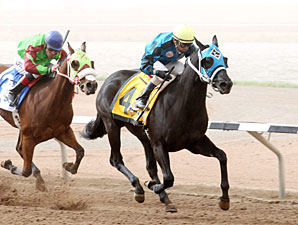 Kiss My Hennessy wins the 2012 Copper Top Futurity.