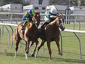 Kiss to Remember wins the 2014 Battle of New Orleans Stakes.