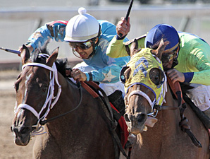 Kisses for Carrots wins the 2013 Elge Rasberry Stakes.