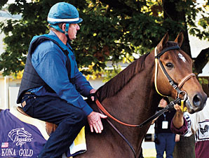 Champion Kona Gold Euthanized Champion Kona Gold Euthanized