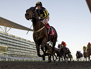 Krypton Factor wins the 2012 Mahab Al Shimaal.