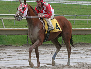 Kudu after winning the 2009 Docent.