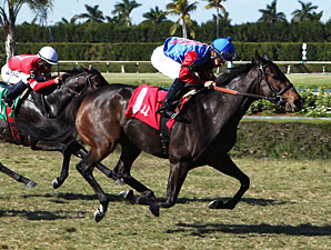 Kya One wins the 2012 My Charmer Handicap.