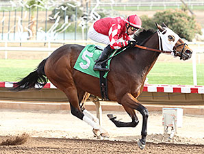 L. A. Weekend wins the 2013 Caballos Del Sol Stakes.