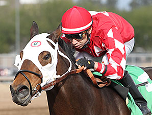 L. A. Weekend wins the 2013 Caballos Del Sol Stakes.