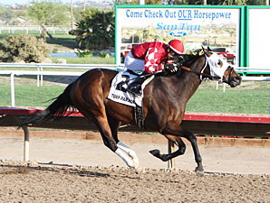 L. A. Weekend wins the 2013 Coyote Handicap.