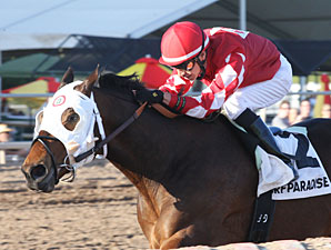 L. A. Weekend wins the 2013 Phoenix Gold Cup.