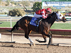 L. A. Weekend wins the 2013 Phoenix Gold Cup.