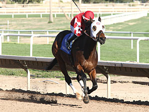 L. A. Weekend wins the 2013 Phoenix Gold Cup.