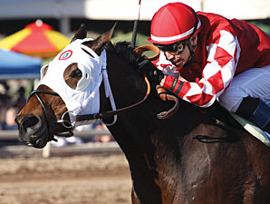 L. A. Weekend wins the 2013 Phoenix Gold Cup.