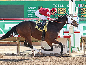 L. A. Weekend wins the 2014 Swift Stakes.