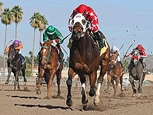 L. A. Weekend wins the 2014 Swift Stakes.