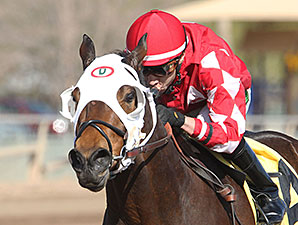 L. A. Weekend wins the 2014 Swift Stakes.