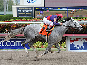 La Madrina - Maiden Win, March 29, 2014 at Gulfstream Park.