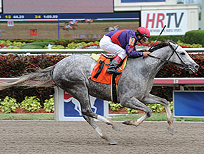 La Madrina - Maiden Win, March 29, 2014 at Gulfstream Park.