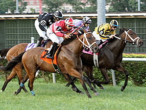 La Malaguena wins the 2014 Firecracker Stakes.