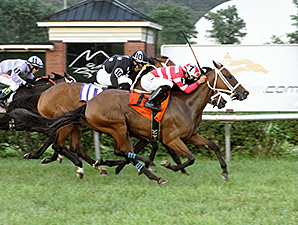 La Malaguena wins the 2014 Firecracker Stakes.