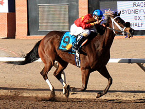 La Sorpresa wins the 2011 Sydney Valentini Handicap.