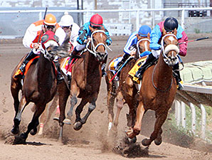 Lady Genius wins the 2014 Bank of Albuquerque Stakes.