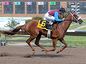 Lady Genius wins the 2014 Bank of Albuquerque Stakes.