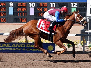 Lady Genius wins the 2013 Copper Top Futurity - Filly Division.