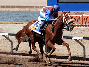 Lady Genius wins the 2013 Copper Top Futurity Trial Fillies 1st Division.