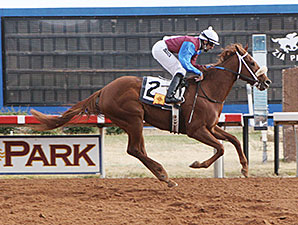 Lady Genius wins the 2013 New Mexico Eddy County Stakes.
