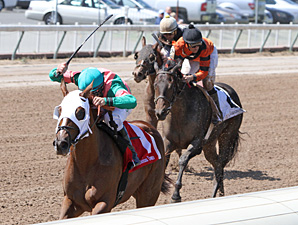 Lady Grantham wins the 2013 Louisiana Stallion Stakes - Filly Division.