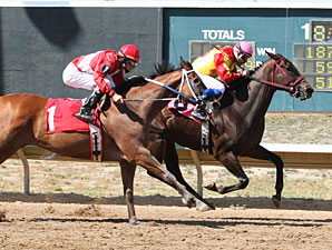 Lady Jila wins the 2013 Columbine Stakes.