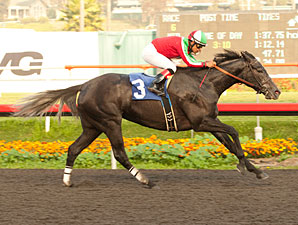 Lady of Fifty wins the 2012 Bayakoa.