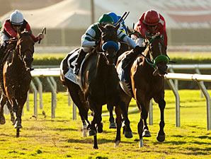 Lady of Shamrock wins the 2012 Del Mar Oaks.