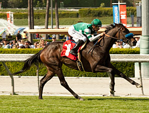 Lady of Shamrock wins the 2012 Providencia.