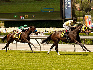 Lady of Shamrock wins the Santa Barbara Stakes via disqualification.