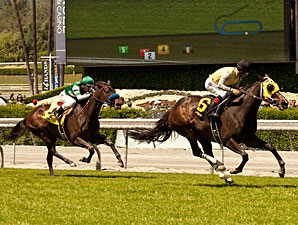Lady of Shamrock wins the Santa Barbara Stakes via disqualification.