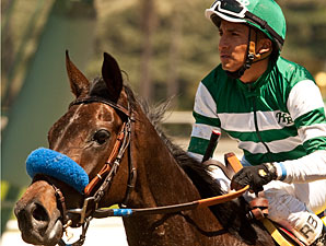 Lady of Shamrock wins the Santa Barbara Stakes via disqualification.